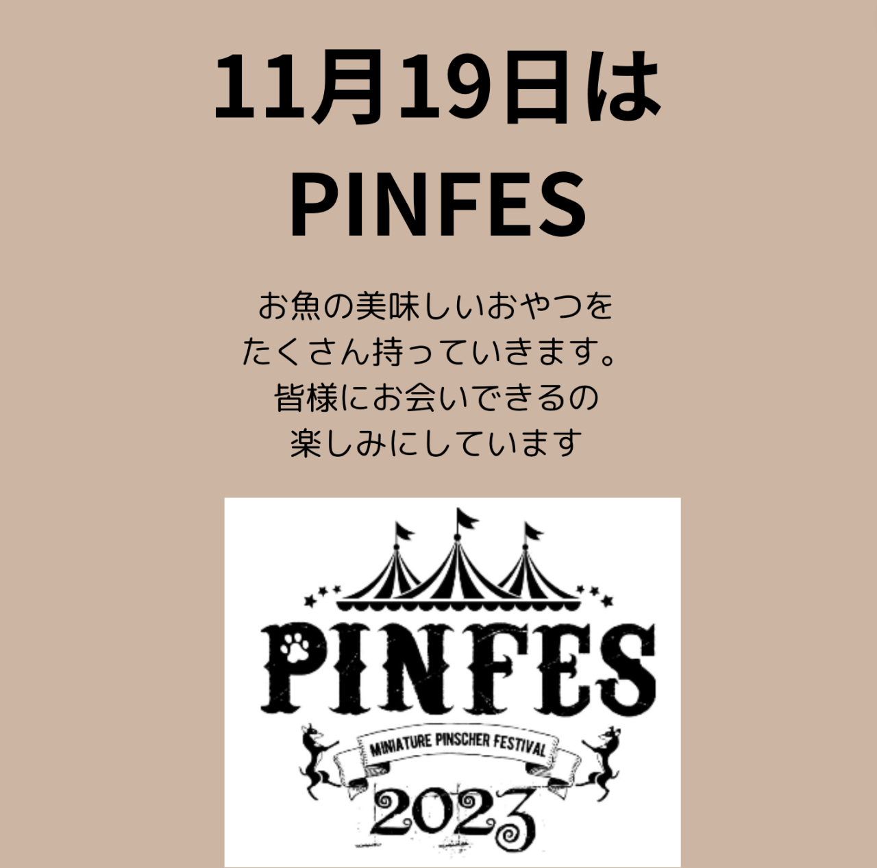 PINFES